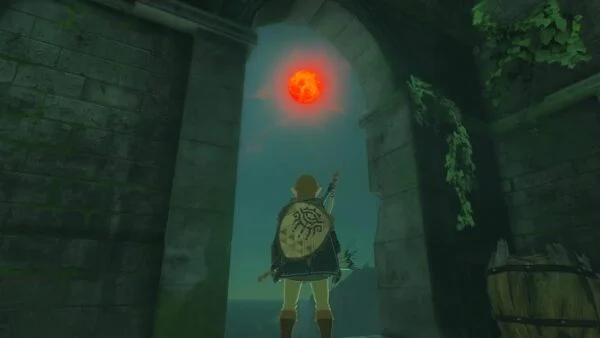 The Legend of Zelda Tears of the Kingdom – Nintendo Switch – Image 6